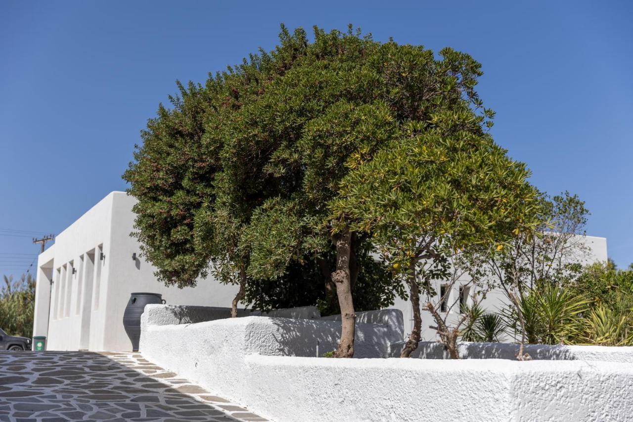 Naxos Green Village Hotel Naxos City Luaran gambar